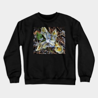 It Hailed On My Dwarf Iris Crewneck Sweatshirt